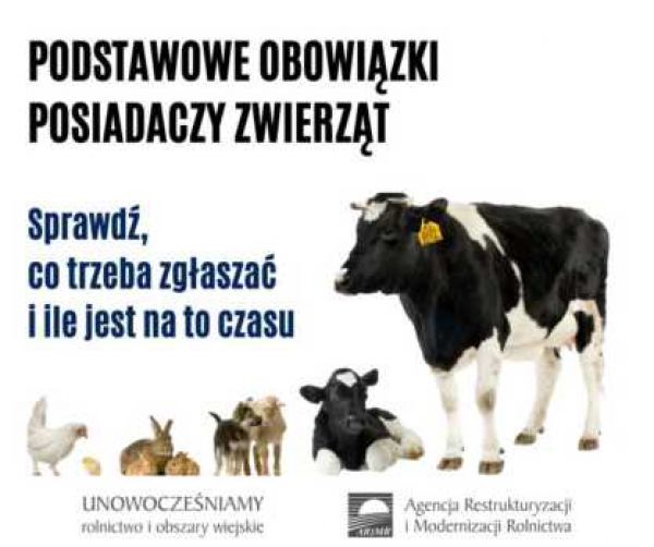 zdjęcie do
												 artykułu Komunikat ARiMR - PODSTAWOWE OBOWIĄZKI POSIADACZY ZWIERZĄT: BYDŁA, OWIEC, KÓZ I ŚWIŃ.