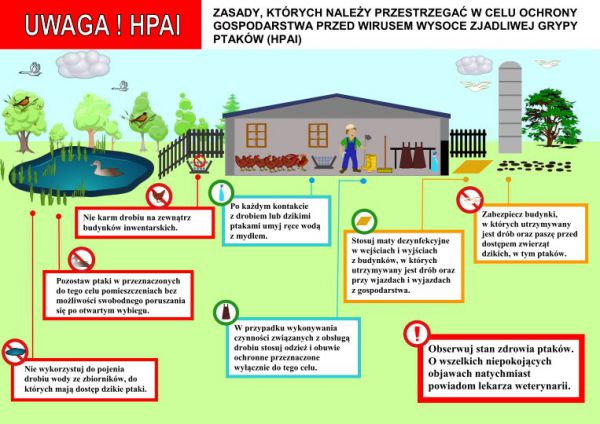 zdjęcie do
												 artykułu Rozporządzenie Wojewody Podkarpackiego w sprawie zwalczania wysoce zjadliwej grypy ptaków (HPAI)