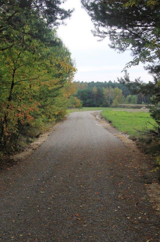 Zmodernizowano drogi dojazdowe do pól tzw. drogi śródpolne:    w Przyłęku  na docinku 600 m, oraz  Kosowach  375 m, 