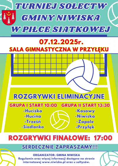 zdjęcie do
													 artykułu Turniej Sołectw Gminy Niwiska w Piłce Siatkowej
