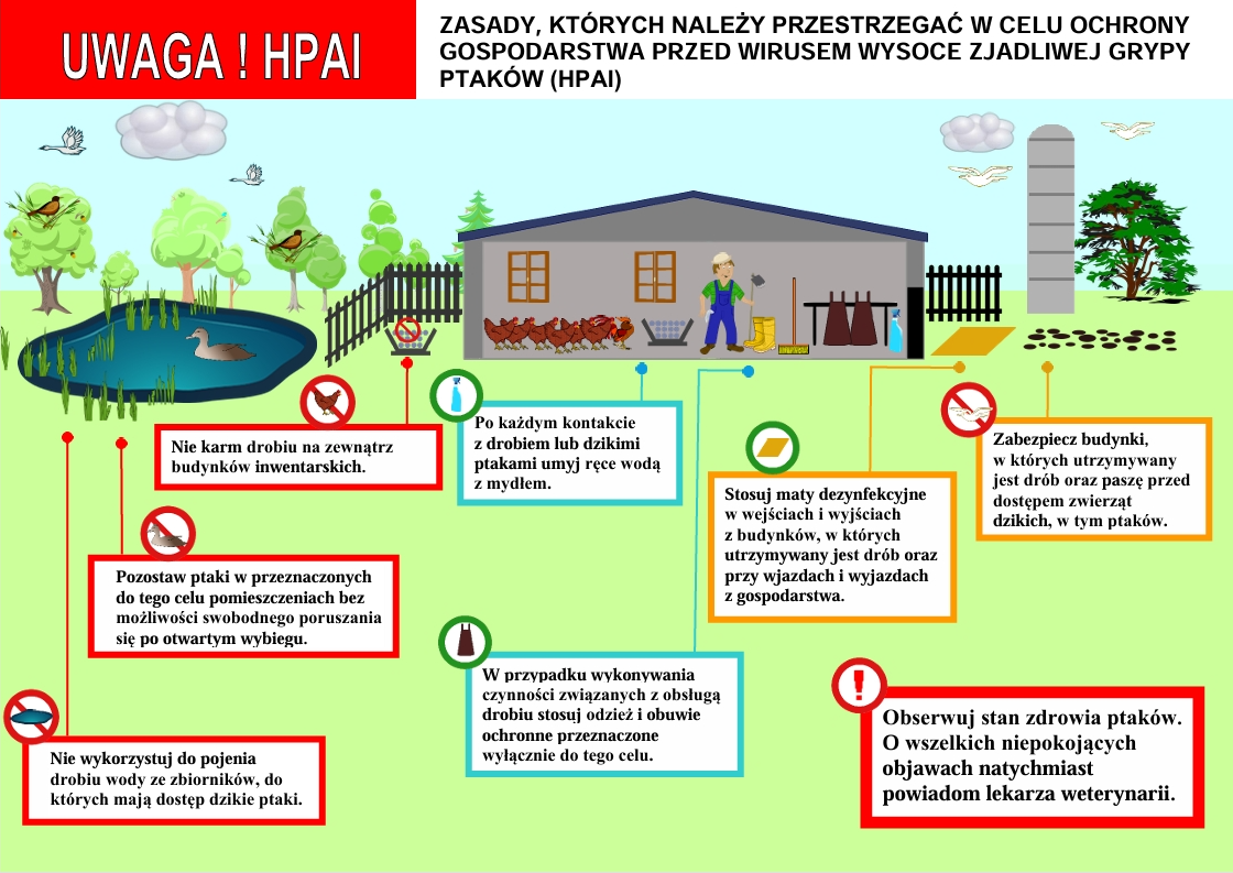 zdjęcie wprowadzające do artykułu: Informacje dotyczące grypy ptaków