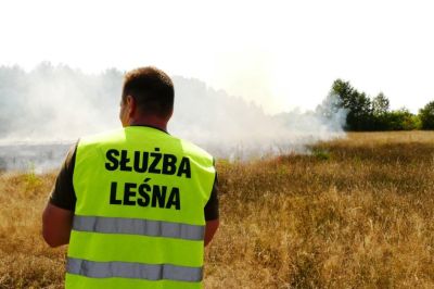 zdjęcie wprowadzające do artykułu: APEL NADLEŚNICTWA MIELEC
