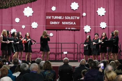 XVI Turniej Sołectw Gminy Niwiska za nami!!