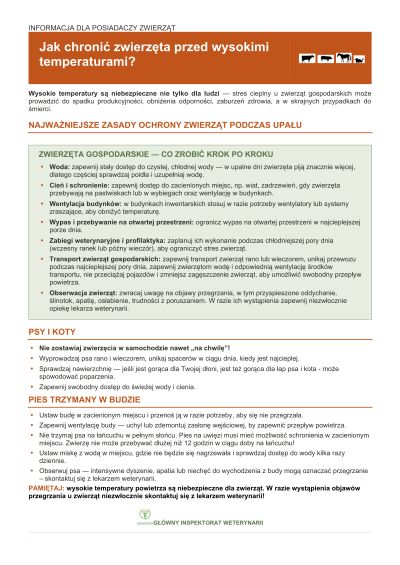 Upały - jak chronić zwierzęta przed wysokimi temperaturami