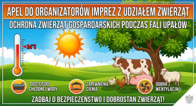 Upały - jak chronić zwierzęta przed wysokimi temperaturami