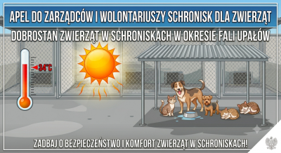 Upały - jak chronić zwierzęta przed wysokimi temperaturami