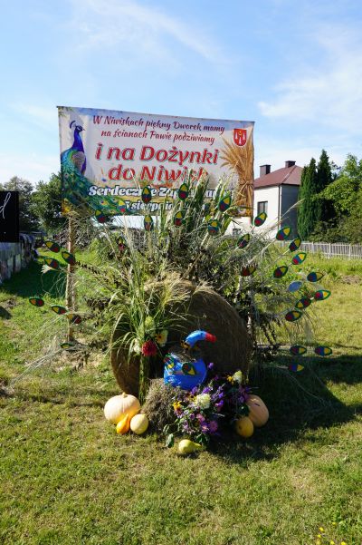 Dekoracje dożynkowe w gminie Niwiska