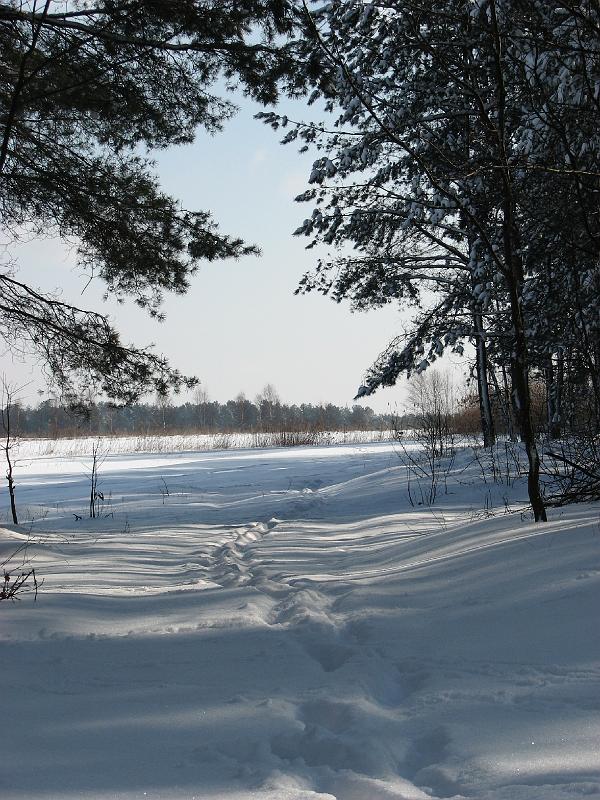 zdjęcie do
													 artykułu Gmina Niwiska zimą